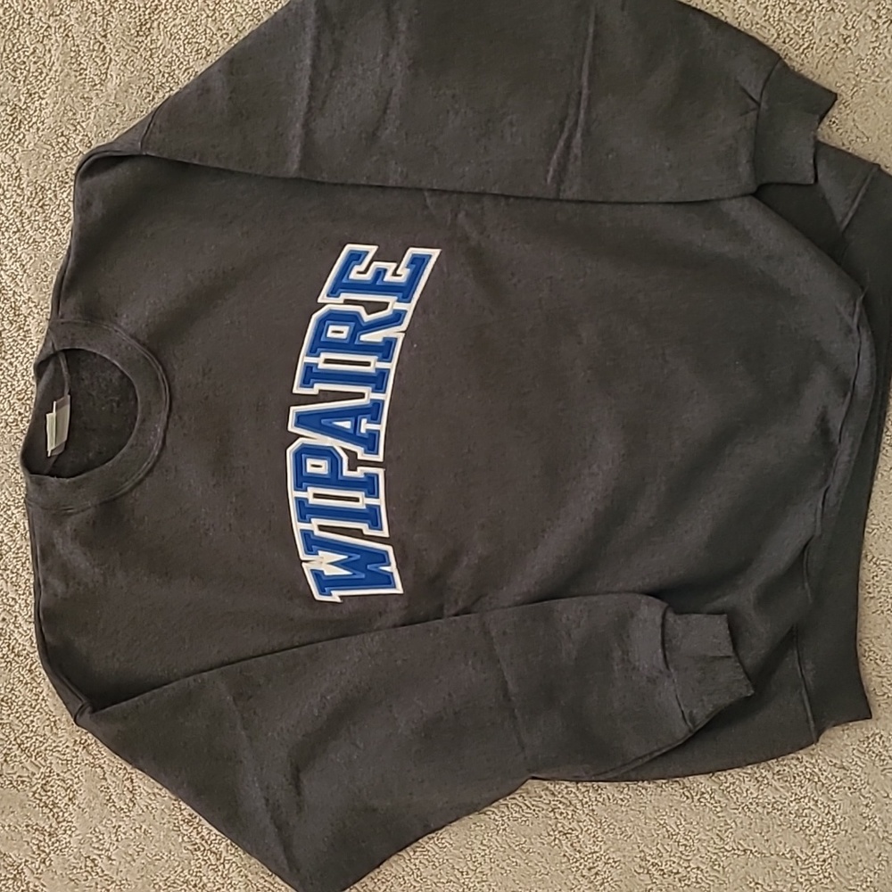 Mens dark Grey, size L sweatshirt by Hanes.